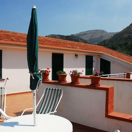 Azienda Agricola Veniero Piano di Sorrento Ngoại thất bức ảnh