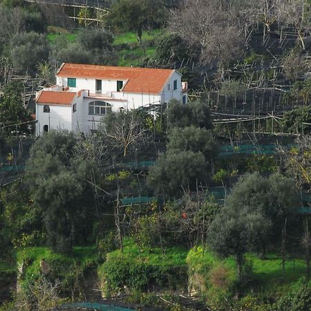 Azienda Agricola Veniero Piano di Sorrento Ngoại thất bức ảnh