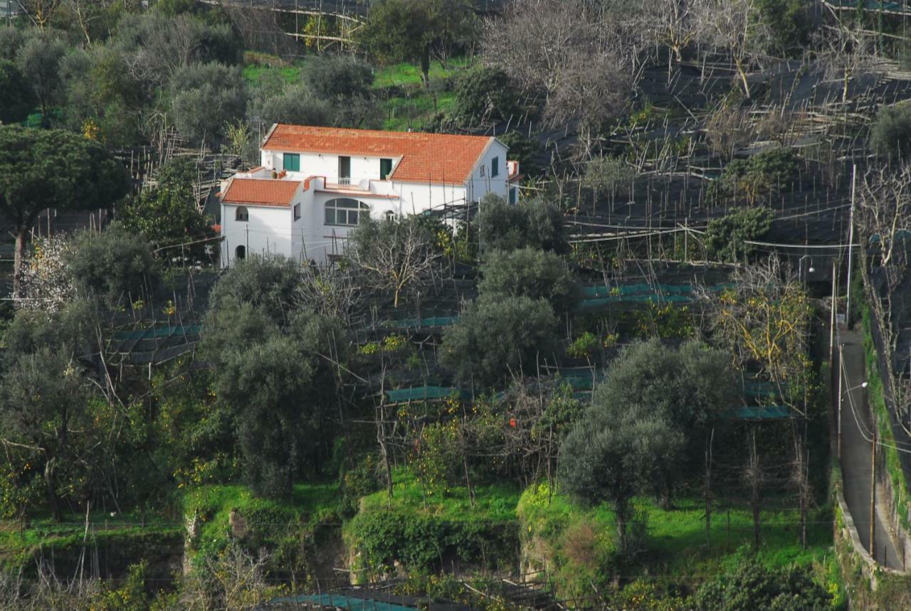 Azienda Agricola Veniero Piano di Sorrento Ngoại thất bức ảnh